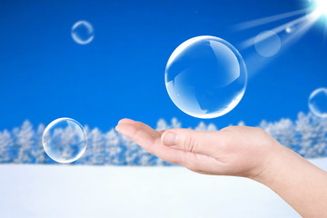 Palm and winter forest