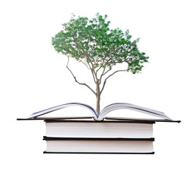 tree growing from book