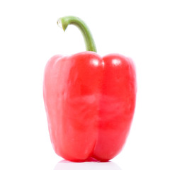 Rote Paprika isoliert