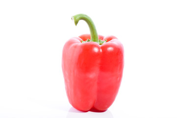 Rote Paprika isoliert