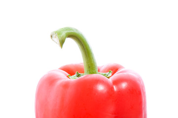 Rote Paprika isoliert