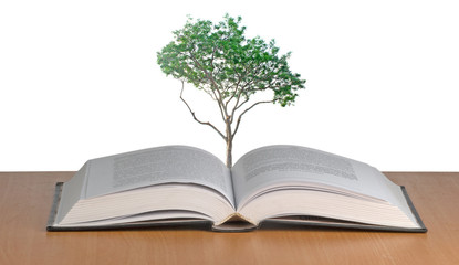 tree growing from book