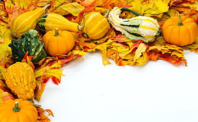 Fall arrangement with leaves and gourds