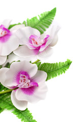 White with purple orchid and decorative leafs isolated on white