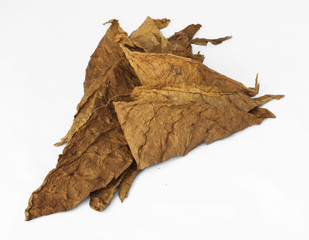 Dried tobacco leaves
