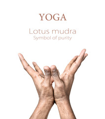 Yoga lotus mudra