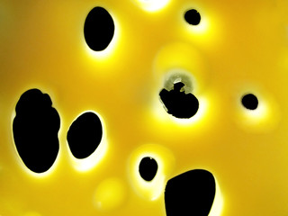 holes in cheese