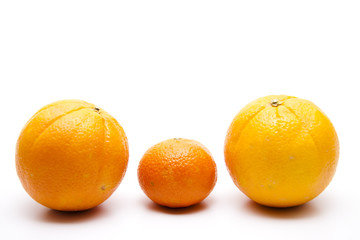 Südfrucht
