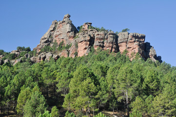 Fototapeta na wymiar Śródziemnomorski las w Sierra de Albarracin, Hiszpania