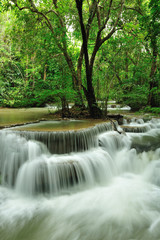 Rain forest waterfall