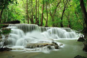 Rain forest waterfall