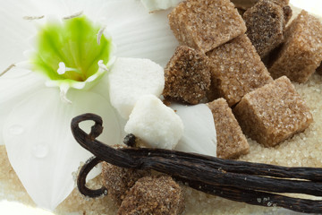sucre de canne vanillé