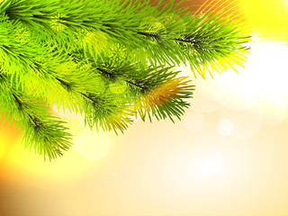 christmas pine tree