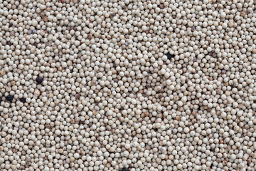 White pepper