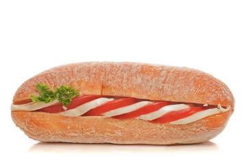 italian sandwich with mozzarella and tomatoes