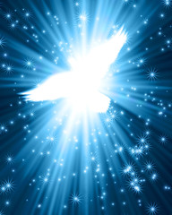 flying dove against glowing background