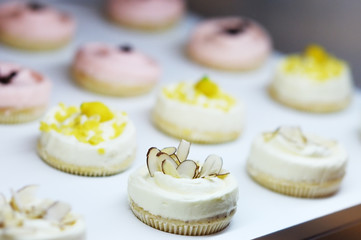 Fancy Frosted Gourmet Cupcakes Variety Selection