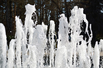 Fountain
