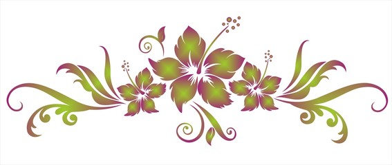 Hibiskus Ranke © punto1976