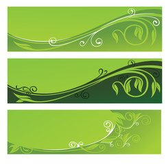 vector collection of eco headers