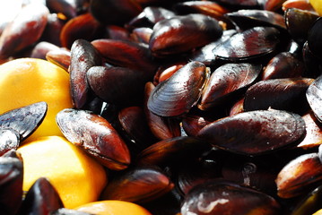 Filled Mussels