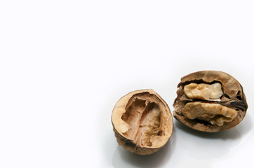 NOCE ROTTA A METà SU SFONDO BIANCO