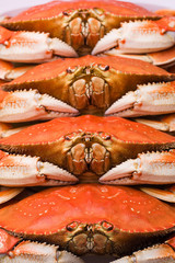 Fresh steamed Dungeness Crab