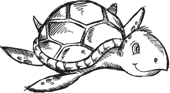 Cute Sketch Doodle Drawing Sea Turtle Vector