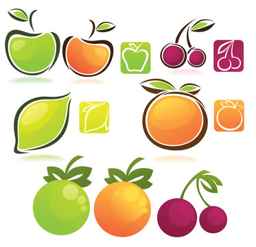 vector collection of fresh fruits and berries