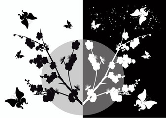 cherry flowers and butterflies silhouette on white and black