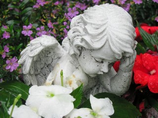 Engel