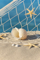 Strand-Stillleben mit Seesternen und Muscheln, Urlaubsträume - 37798694
