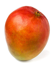 single mango against white background