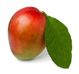 single mango with a leaf against white background