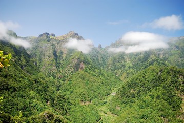 Madeiran landscape