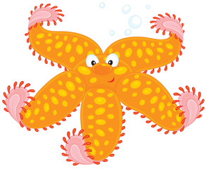 Starfish