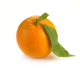 Orange with leaves