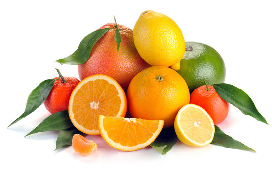 set of citrus fruit with leaves