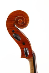 manche de violoncelle © iMAGINE