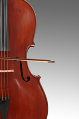 violoncelle - cello