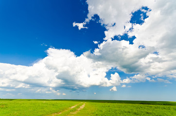 Vibrant shot of a green meadow under a blue sky