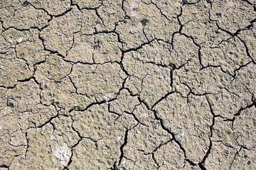 dry earth