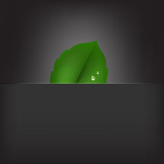 Eco Illustration With Leaf
