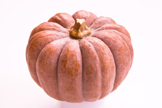 22 Best 日本南瓜 Images Stock Photos Vectors Adobe Stock