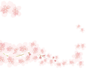 Obraz na płótnie Canvas cherry blossom line