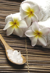 Fototapeta na wymiar frangipani and roller towel with salt in spoon on mat