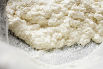 Homemade Cheese