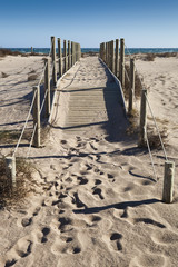 Path to the sea