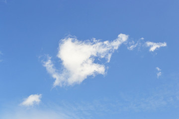 Deer blue sky and clouds