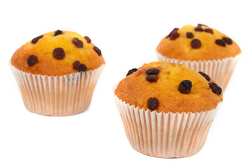 muffins with raisins isolated